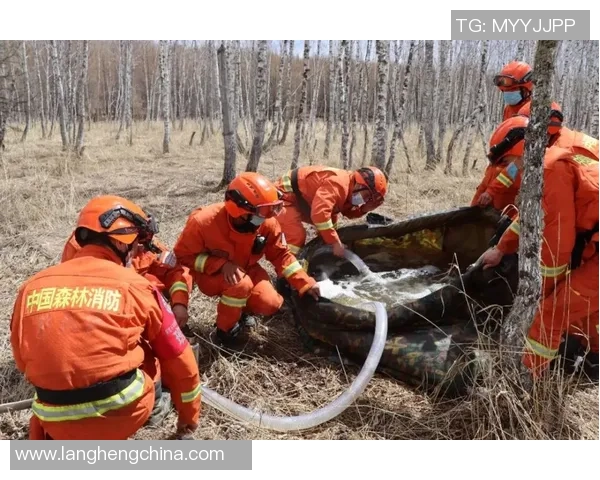 细数灰熊五大高光时刻，满满回忆杀