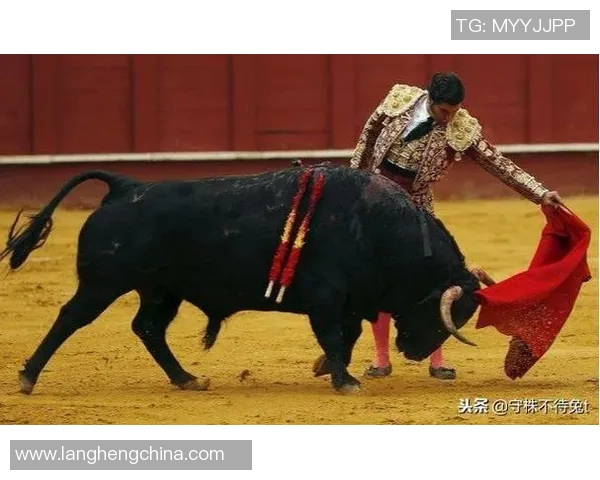 你不知道的公牛：十大冷知识大揭秘